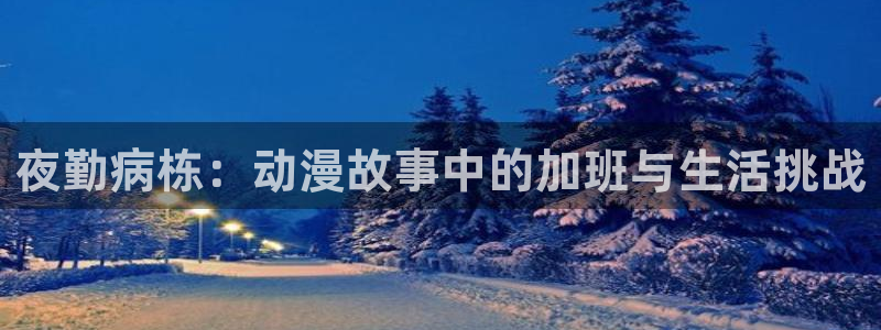 风车动漫p版：夜勤病栋：动漫故事中的加班与生活挑战