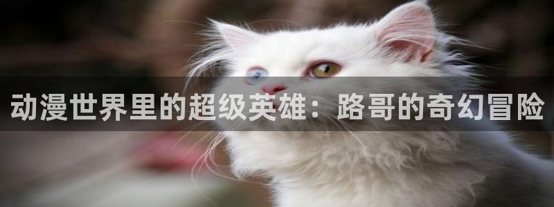 风车动漫在线观看完整版免费：动漫世界里的超级英雄：路哥的奇幻冒险