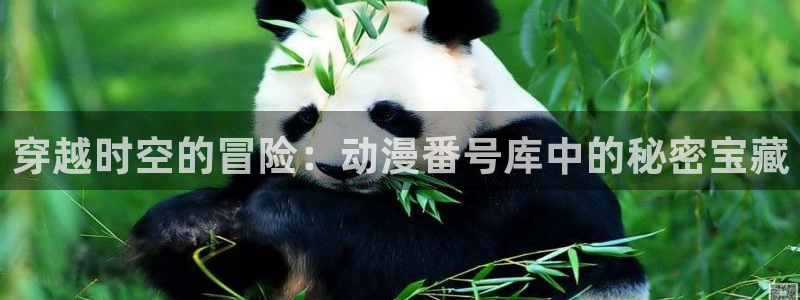 风车动漫观看网樱花动漫：穿越时空的冒险：动漫番号库中的秘密宝藏