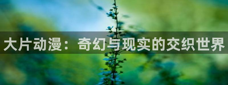 风车动漫(p)：大片动漫：奇幻与现实的交织世界